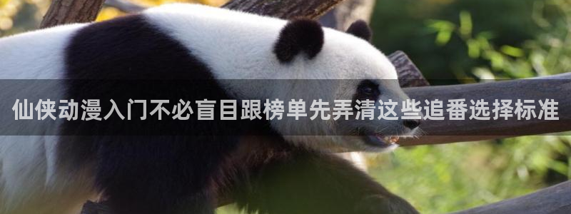 2026韩漫推荐:仙侠动漫入门不必盲目跟榜单先弄清这些追番选择标准配图