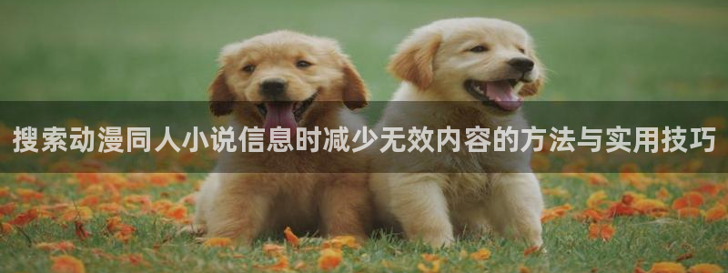 免费韩漫漫画在线阅读：搜索动漫同人小说信息时减少无效内容的方法与实用技巧配图