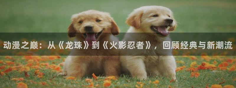 韩漫中文漫画:动漫之巅:从《龙珠》到《火影忍者》,回顾经典与新潮流配图