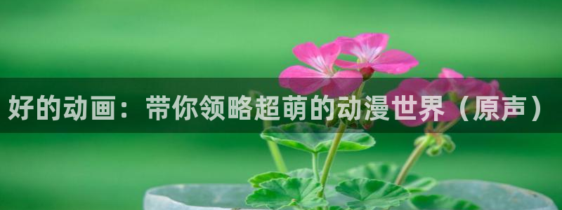 韩国漫画推荐:好的动画:带你领略超萌的动漫世界(原声)配图