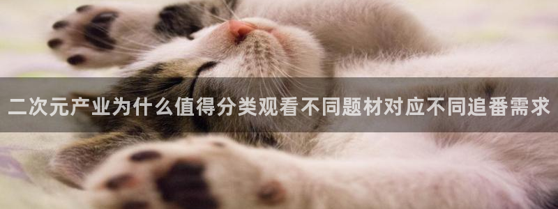 韩漫漫画高清版:二次元产业为什么值得分类观看不同题材对应不同追番需求配图