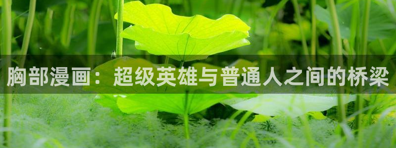 2026韩漫推荐:胸部漫画:超级英雄与普通人之间的桥梁配图