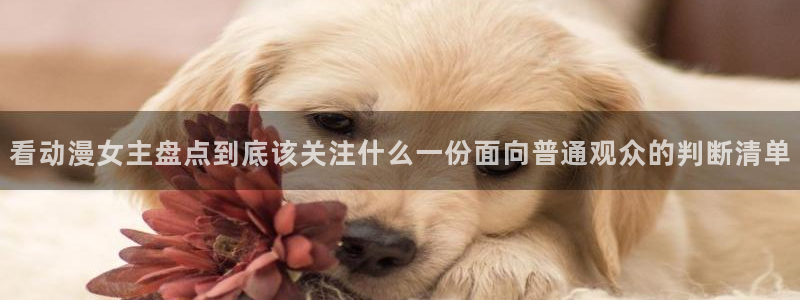 韩漫爱情漫画推荐：看动漫女主盘点到底该关注什么一份面向普通观众的判断清单配图