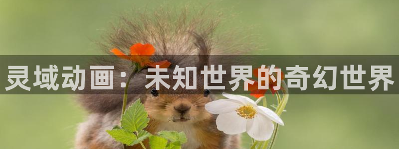 韩漫免费观看:灵域动画:未知世界的奇幻世界配图